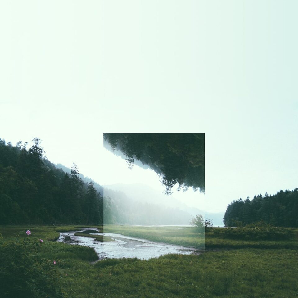 Reflected Landscapes By Victoria Siemer Colossal Reflected Landscapes By Victoria Siemer Colossal
