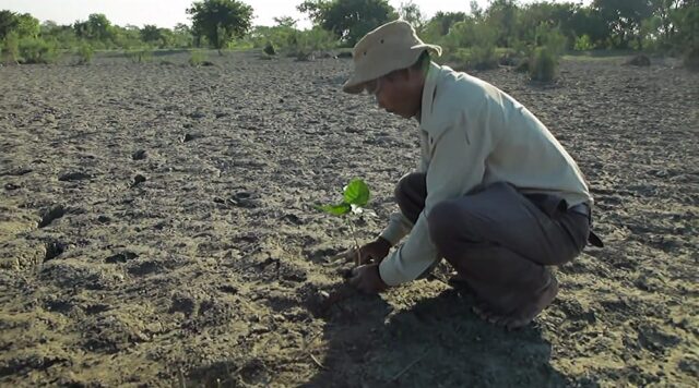 Since the 1970s a Man Has Been Planting a Forest Larger than Central ...