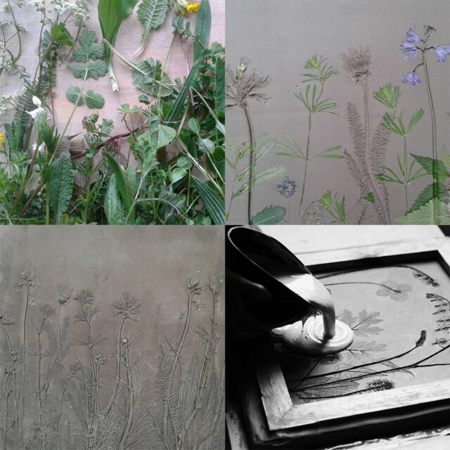 New Plaster Cast Tiles That Immortalize Flowers and Veggies by Rachel ...