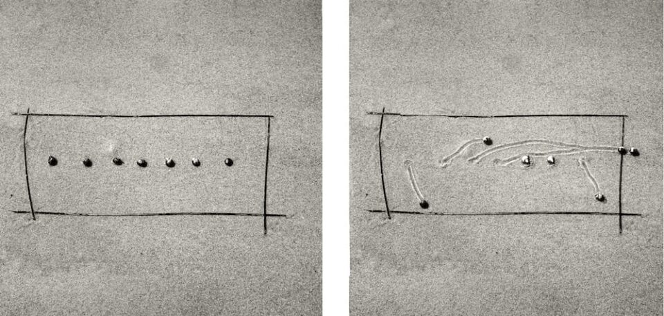 Dan Ranalli Over Two Decades of Charting the Various Movements of Snails by ...