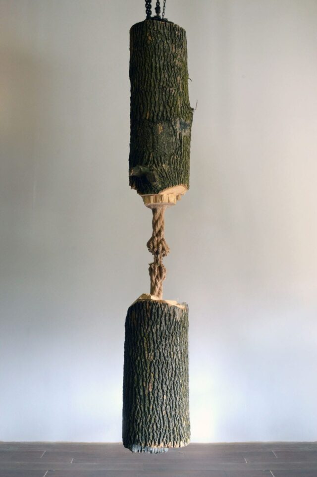 Frayed Rope Tree A Large Suspended Tree Trunk Carved Down to a Frayed Rope by Maskull ...