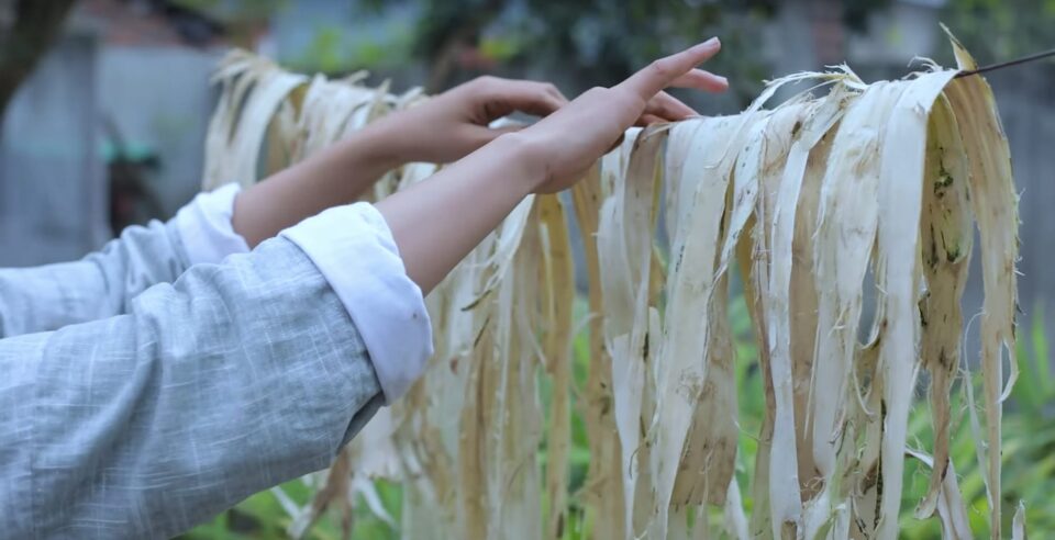 A Relaxing Video Demonstrates the Detailed Steps of Making Paper by ...