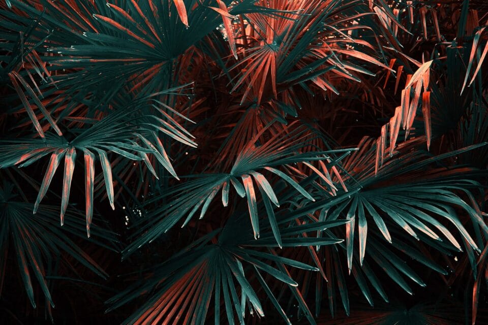 Strange Leaves: An Imagined Future Filled With Bizarrely-Toned Plant ...