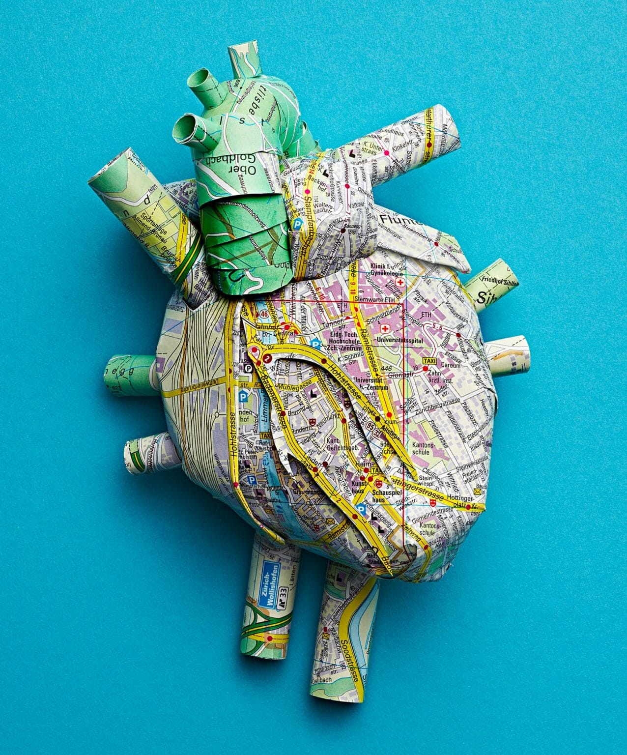 Highways and Rivers Form Capillaries on Anatomical Paper Organs by ...