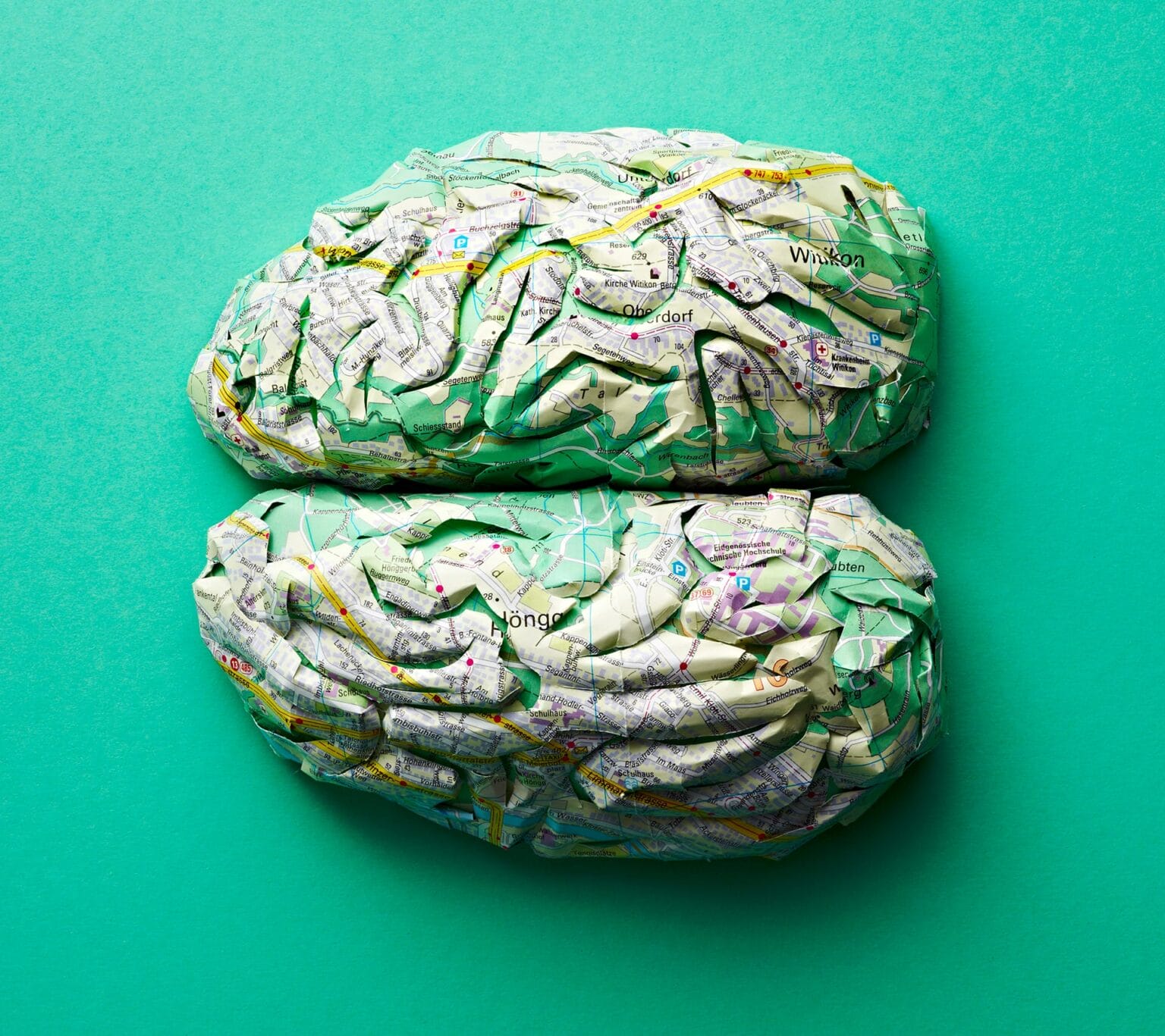 Highways and Rivers Form Capillaries on Anatomical Paper Organs by ...
