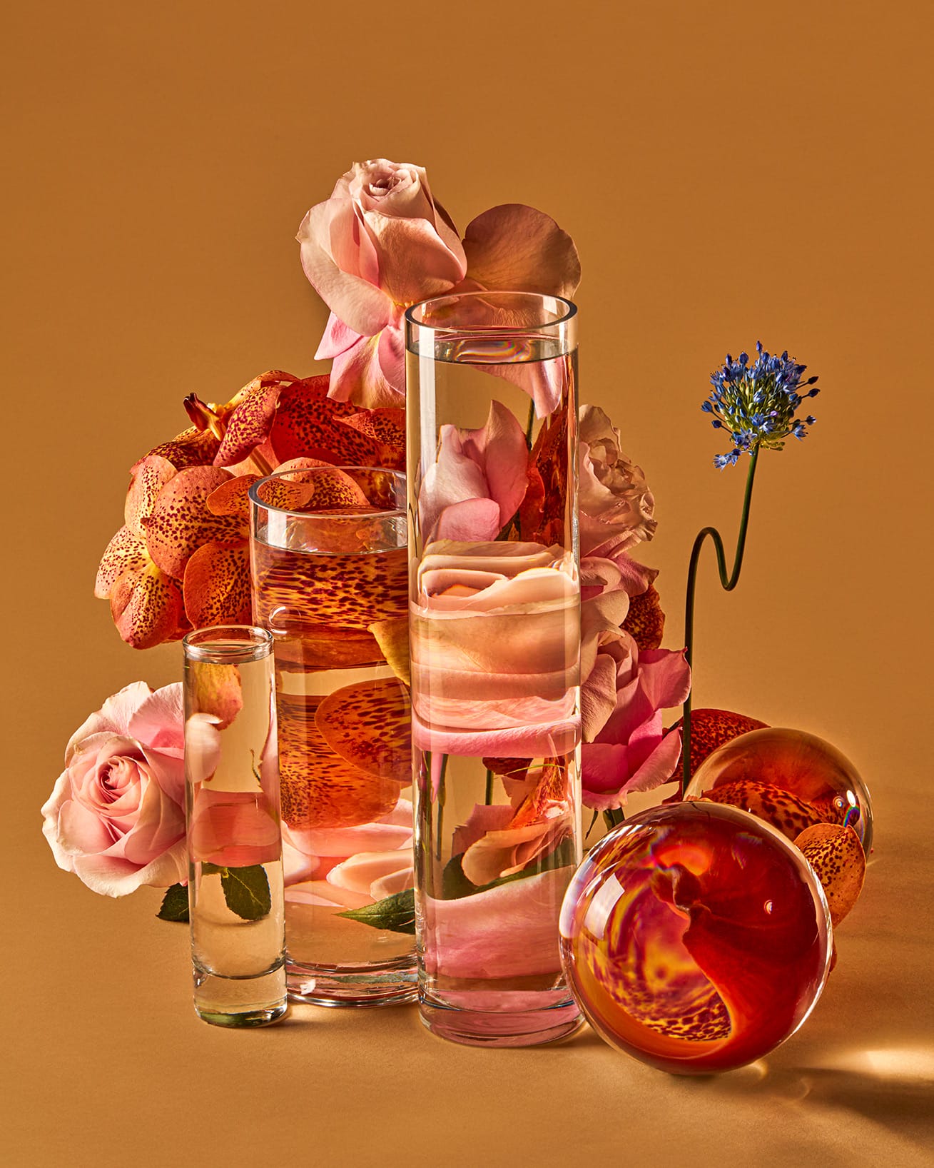 Glass Vessels Skew Florals In Illusory Photographs By Suzanne Saroff Glass Vessels Skew Florals In Illusory Photographs By Suzanne Saroff