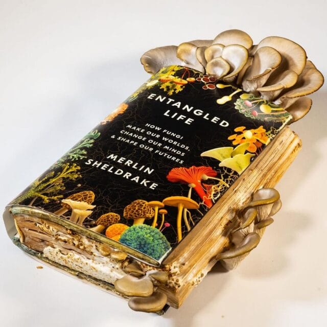 Oyster Mushrooms Sprout from The Pages of a New Book About Fungi — Colossal