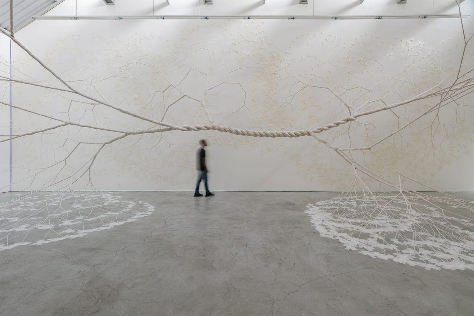 The Rope Artist Uncoiled Rope Sprawls Across Canvases and Open Spaces in Organic Forms ...