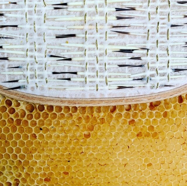 Bees Encase Raw-Material Embroideries with Honeycomb in New Encaustic ...