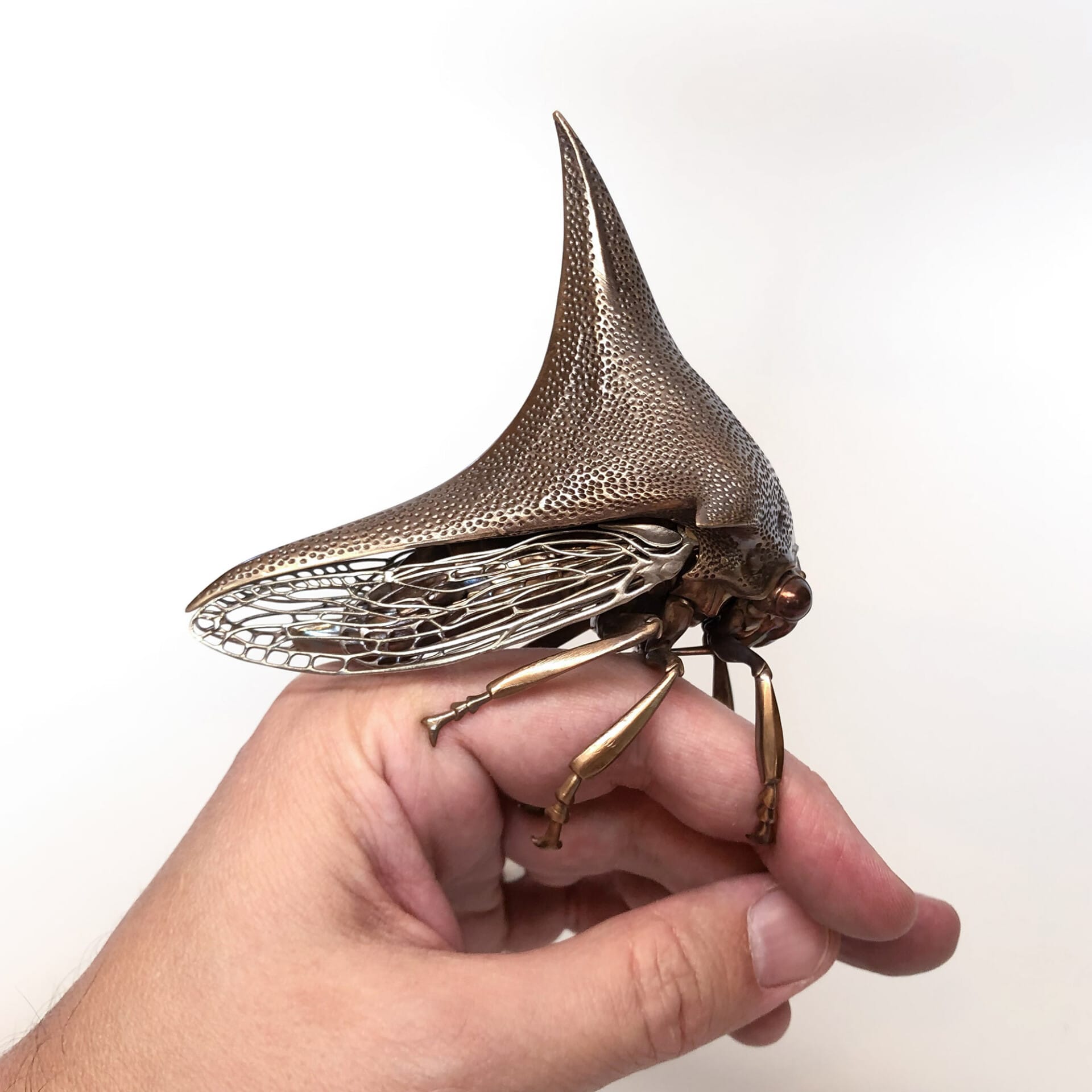 Bronzing Insects Metallic Specimens by Dr. Allan Drummond Perfectly Replicate ...