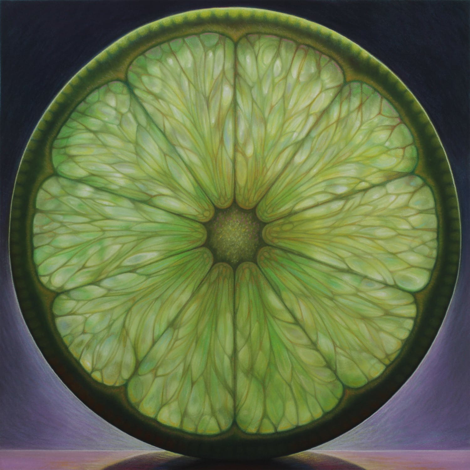Dramatic Light Illuminates Crosscut Melons Citrus And Other Juicy 