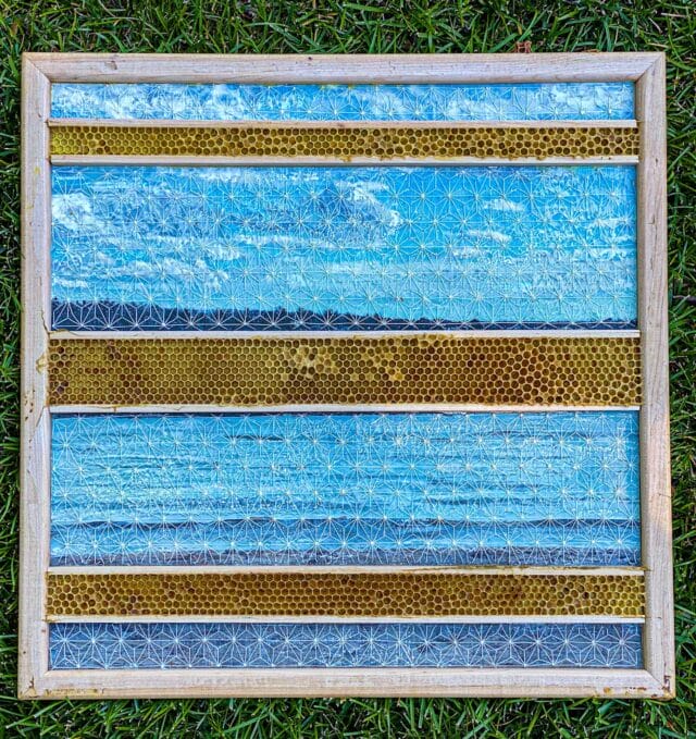 Bees Wrap Ava Roth's Intricately Beaded and Embroidered Motifs in ...