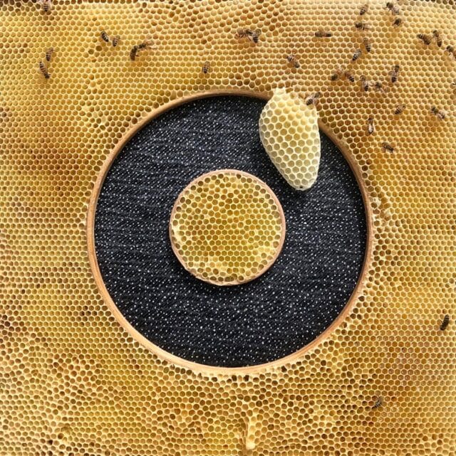 Bees Wrap Ava Roth's Intricately Beaded and Embroidered Motifs in ...