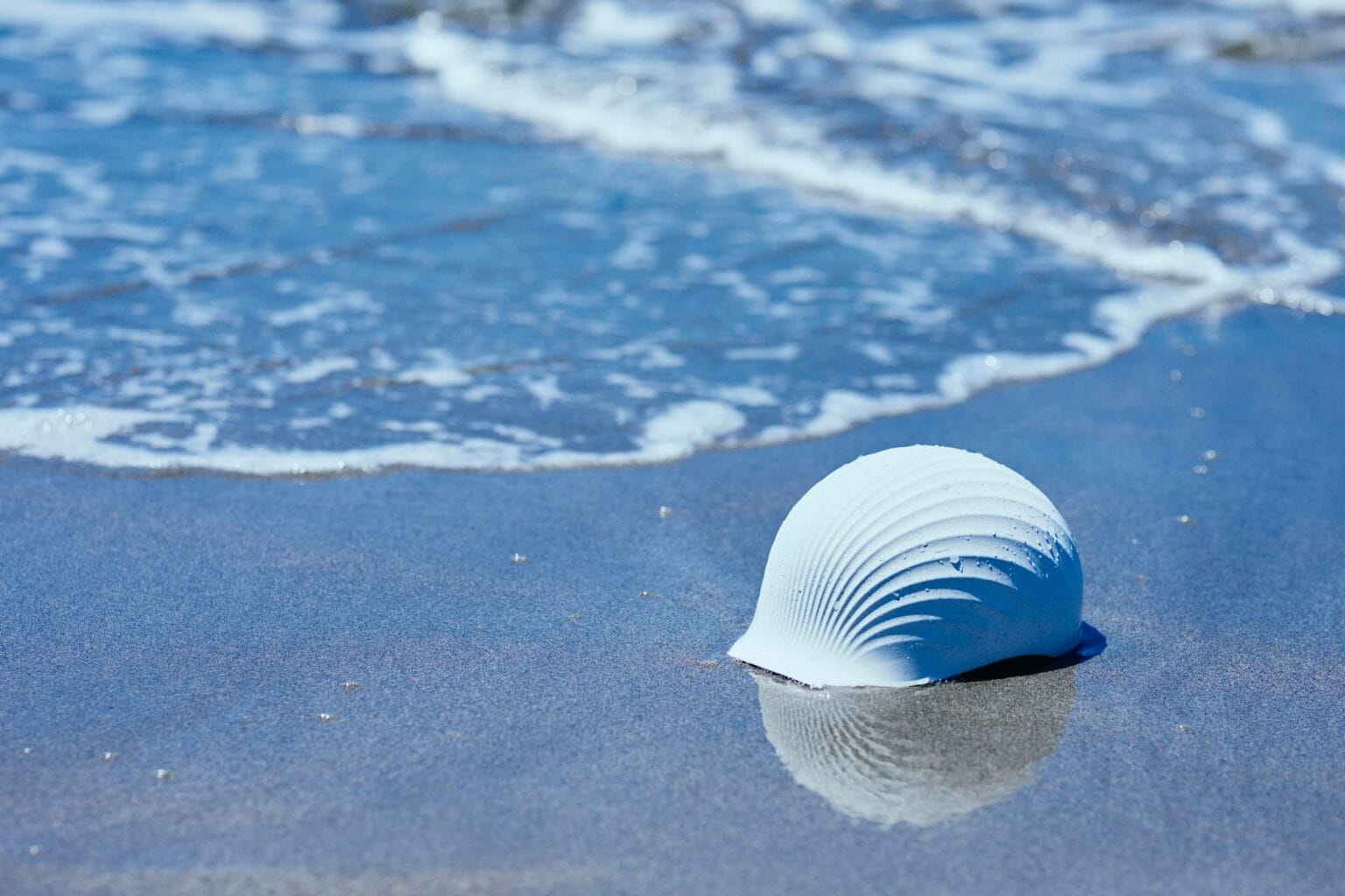 Reducing Shells Discarded Scallop Shells Combine with Recycled Plastics in the Waste ...