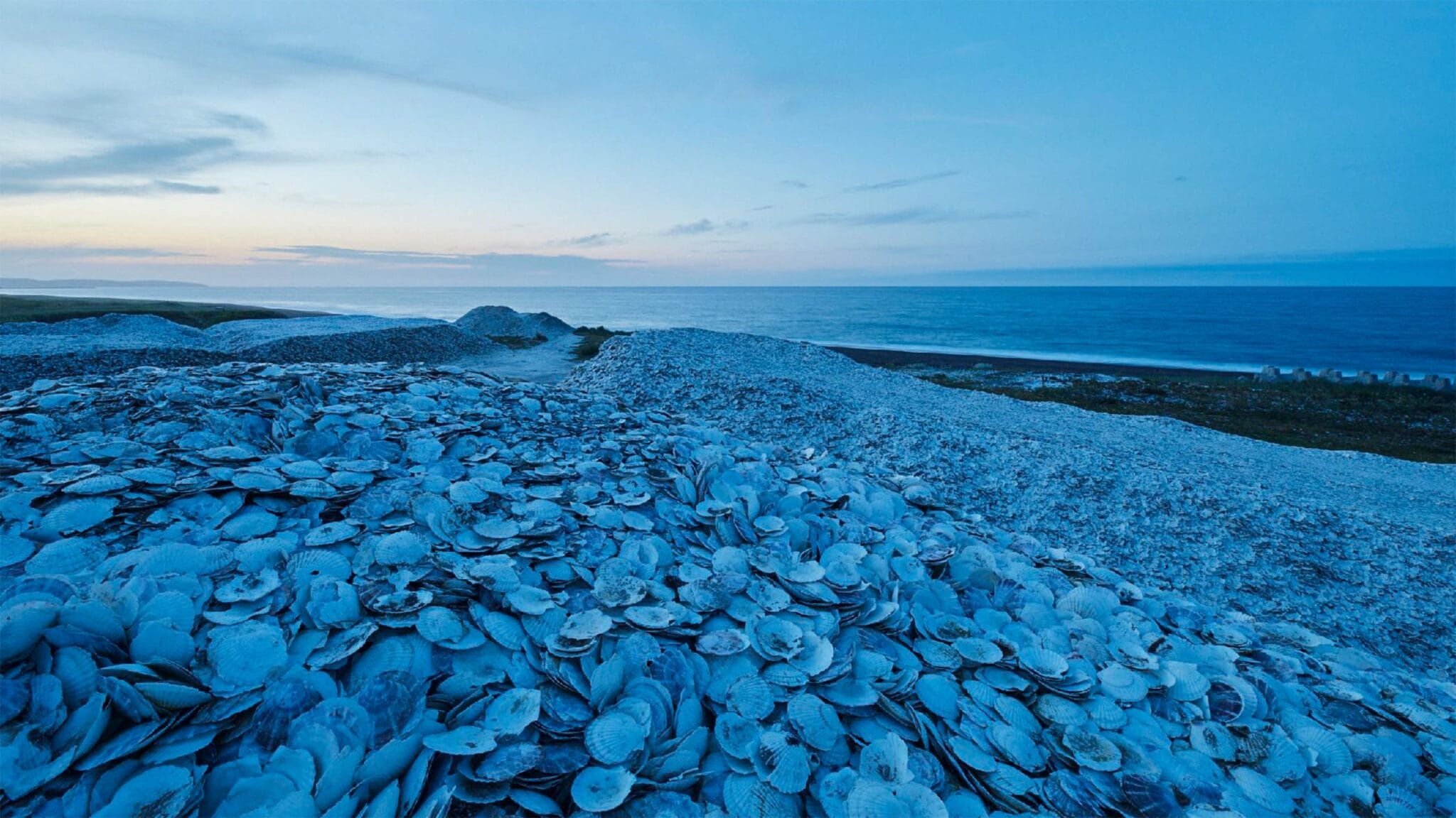 Colosal Shell Discarded Scallop Shells Combine with Recycled Plastics in the Waste ...