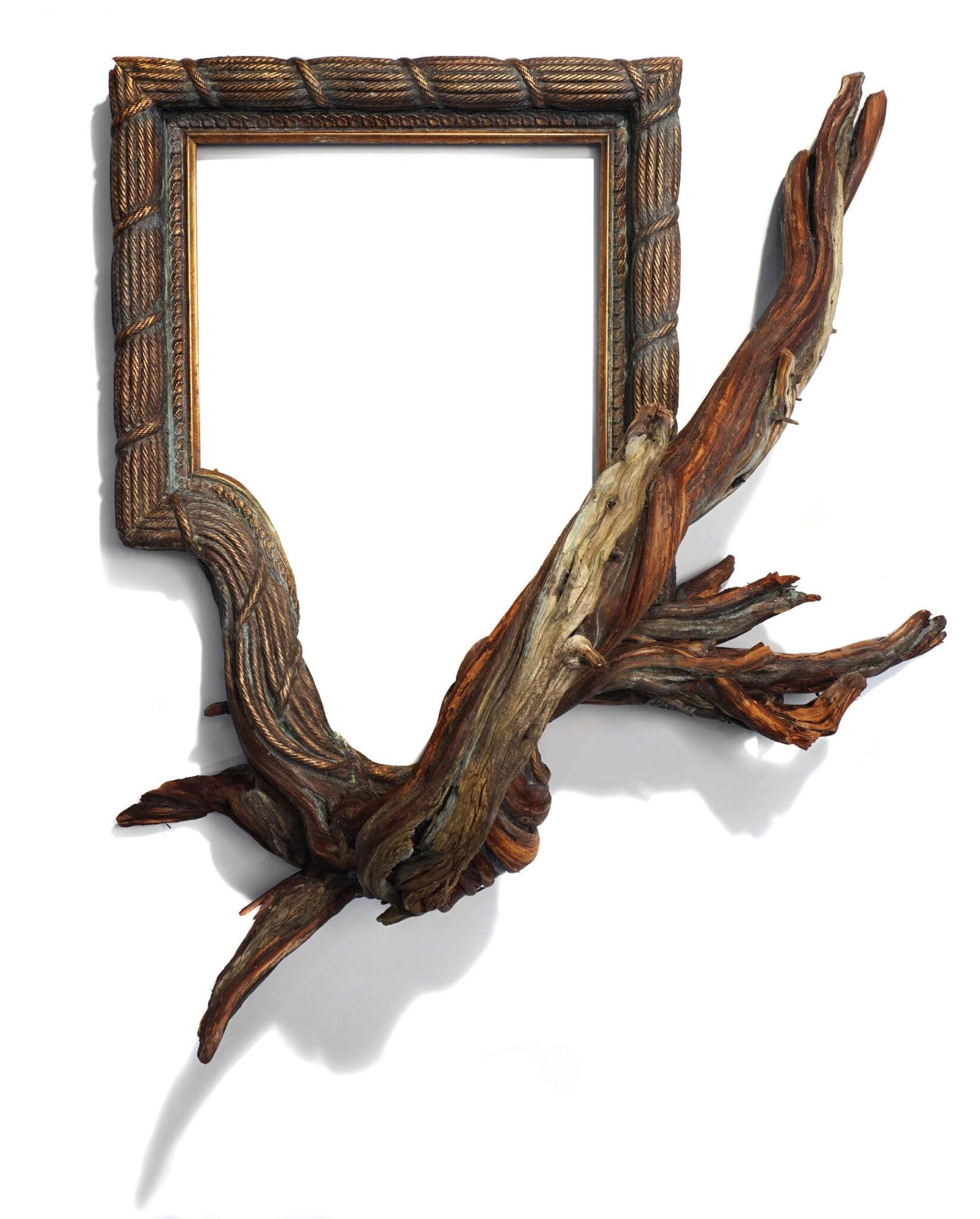 Ornate Picture Frames Sprout Twisted Roots in Organic Sculptures by ...