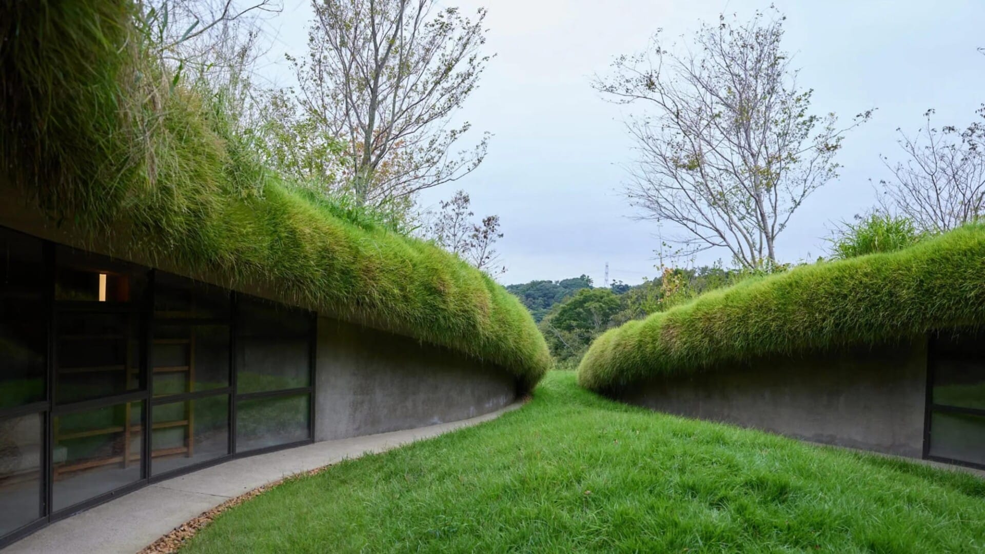 Readers Burrow into a Bookworm Haven in Kurkku Fields' 'Underground ...