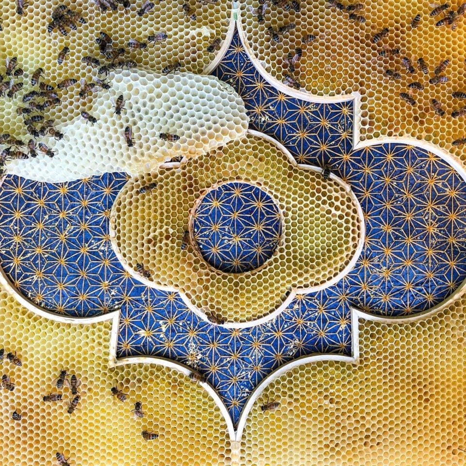 Honeycomb Swells Across Ava Roth's Embroidered Works Made in ...