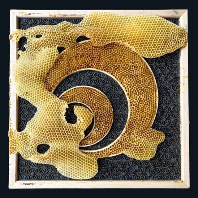 Honeycomb Swells Across Ava Roth's Embroidered Works Made in ...