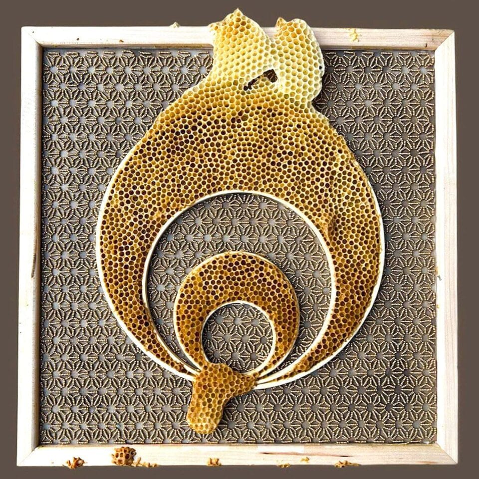 Honeycomb Swells Across Ava Roth's Embroidered Works Made in ...