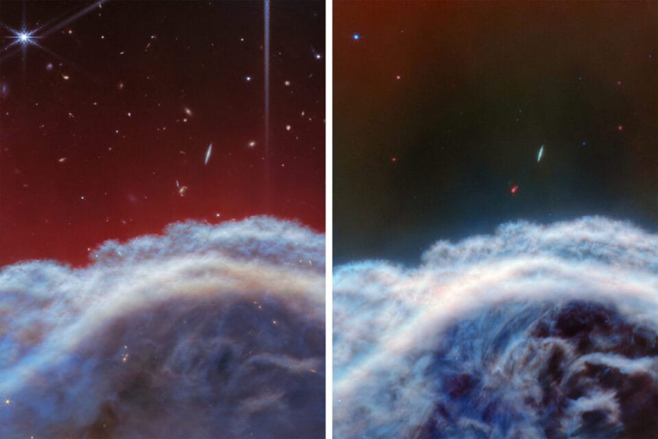 The James Webb Space Telescope Reveals Details of the Horsehead Nebula ...