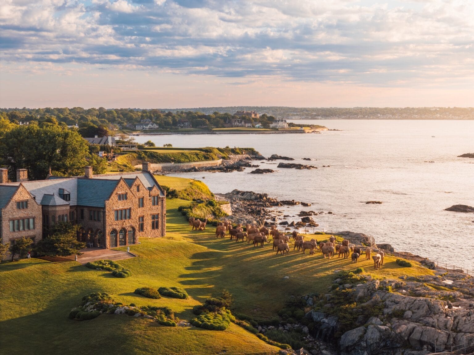 Project Colossal 100 Life-Sized Elephants Lumber Along a Newport Cliff in a Global ...