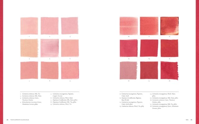 Learn to Forage and Process Your Own Natural Pigments with 'The ...