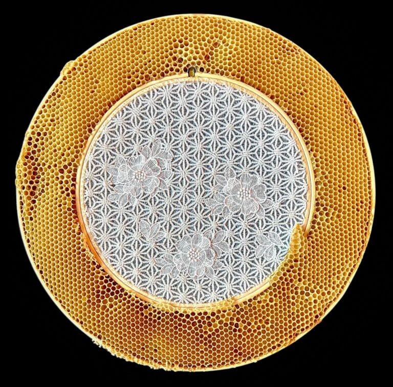 Honeybees Have the Final Say in Ava Roth's Collaborative Sculptures ...