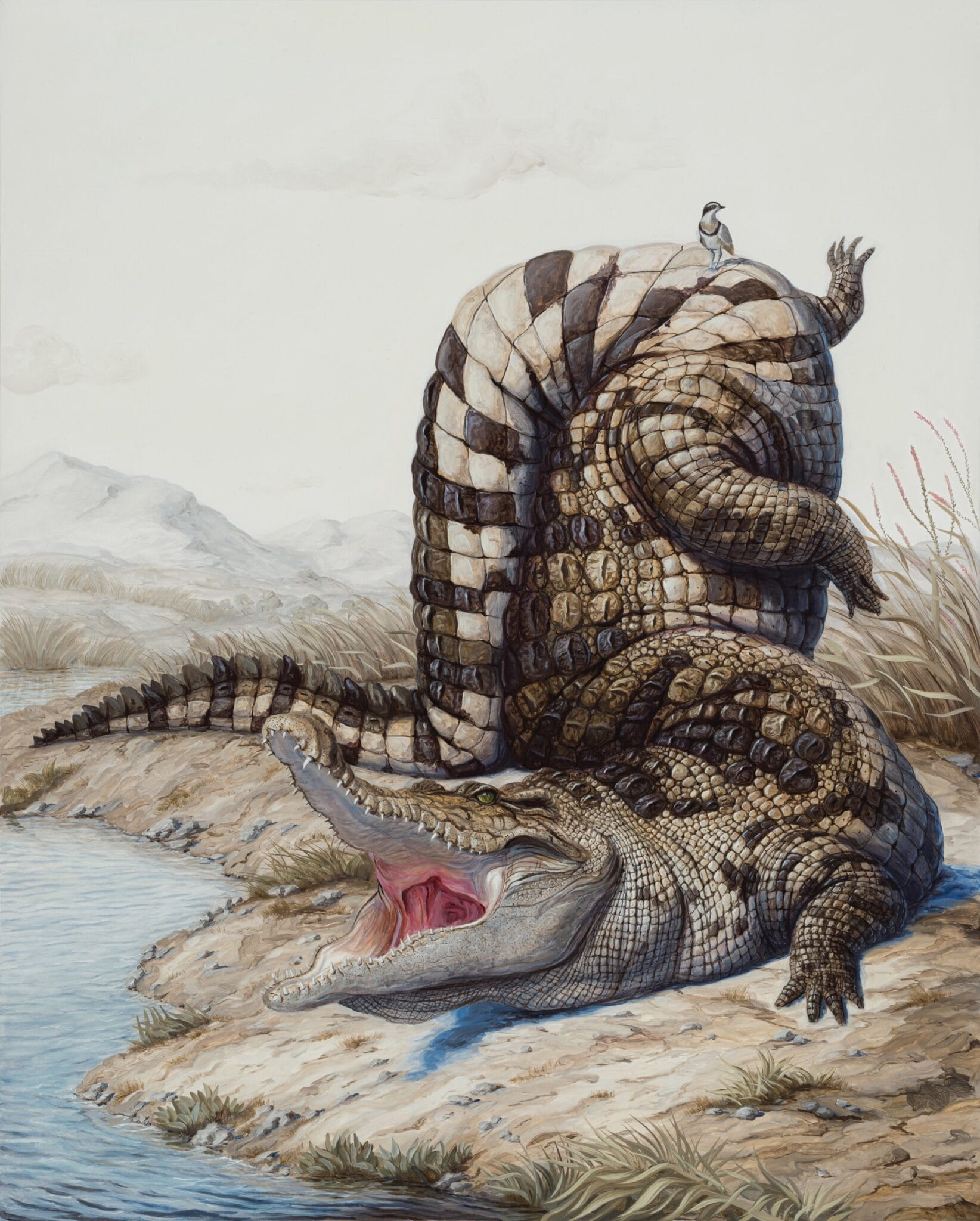 Bruno Pontiroli's Absurd Portraits Highlight Quirky Behavior and ...