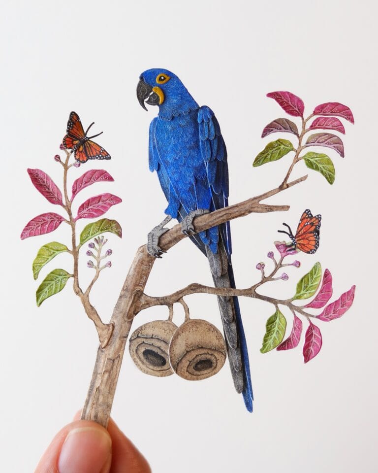 Tropical Birds Burst to Life in the Intricate Paper Cutouts of 'The ...