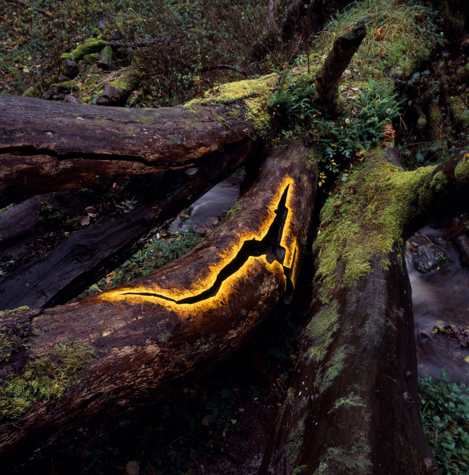 An Expansive Survey in Scotland Celebrates Five Decades of Land Art by ...