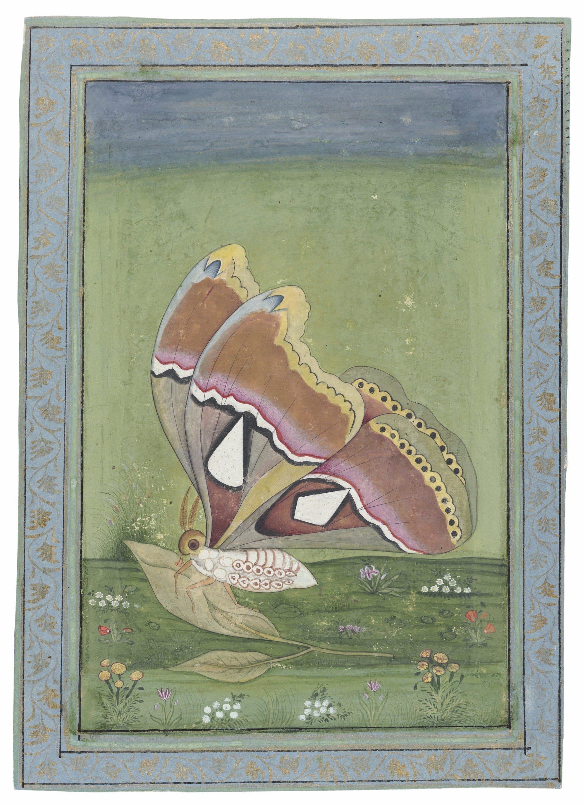 'Butterfly' Explores 4,000 Years of Our Fascination with Lepidoptera in ...