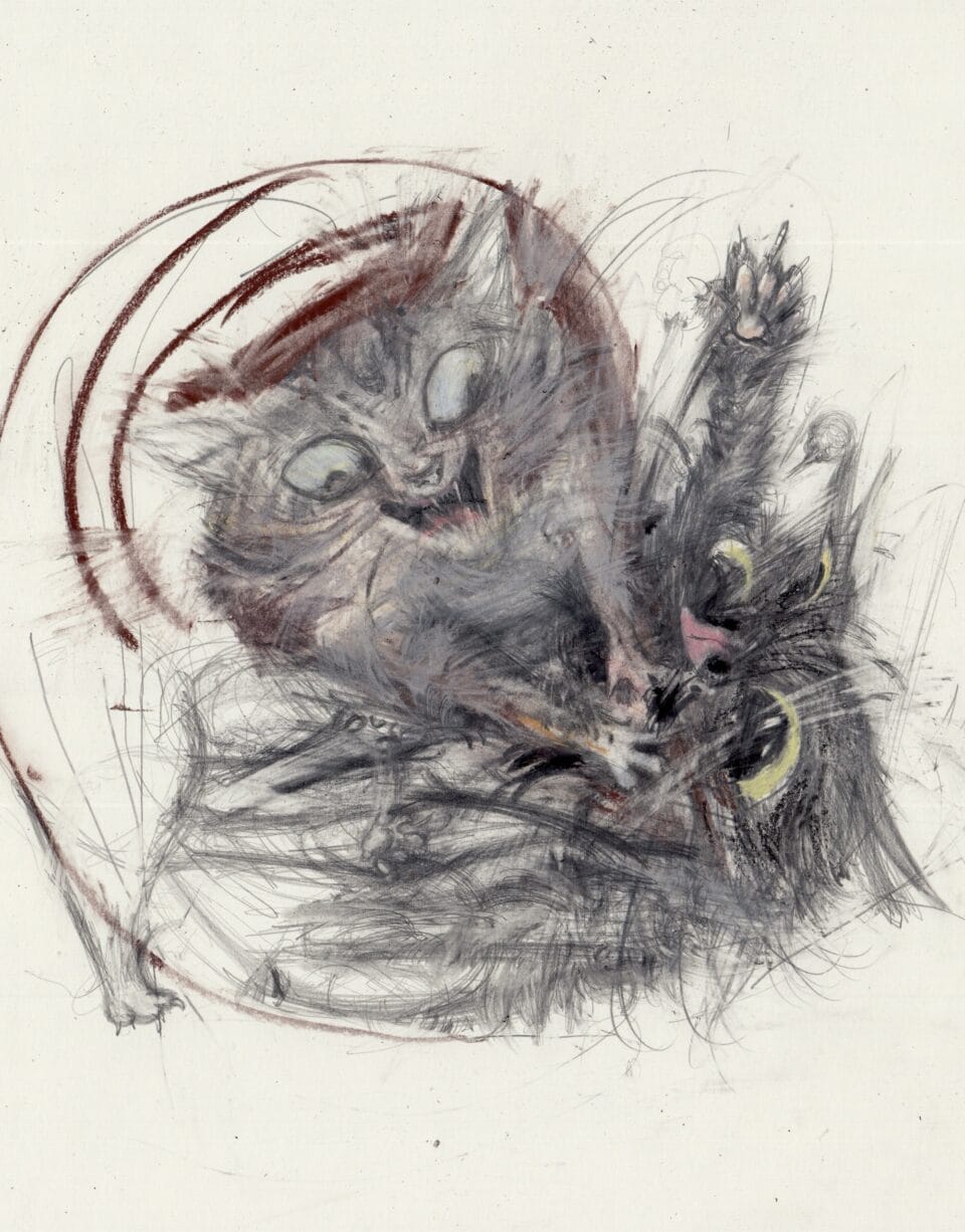 Anarchic Cats Are Ensnared in Chaos in Léo Forest's Dynamic Drawings ...