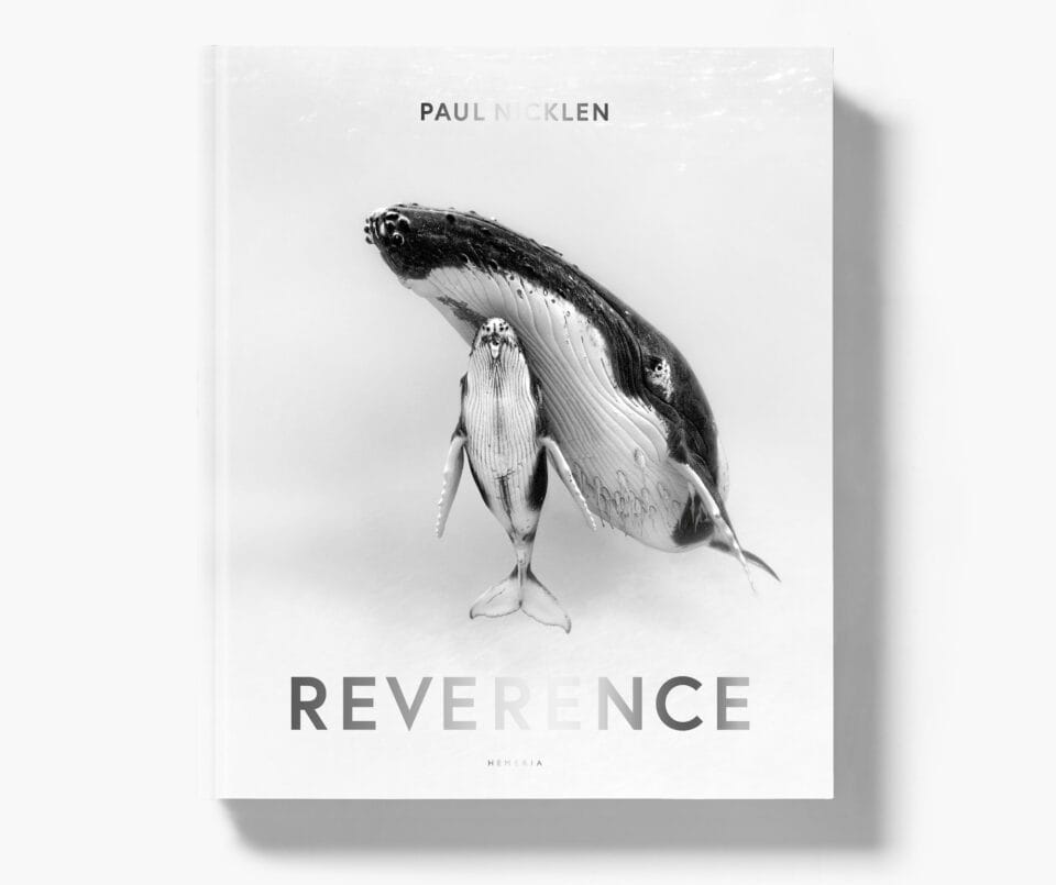 In 'Reverence,' Three Decades of Paul Nicklen's Remarkable Photographs ...
