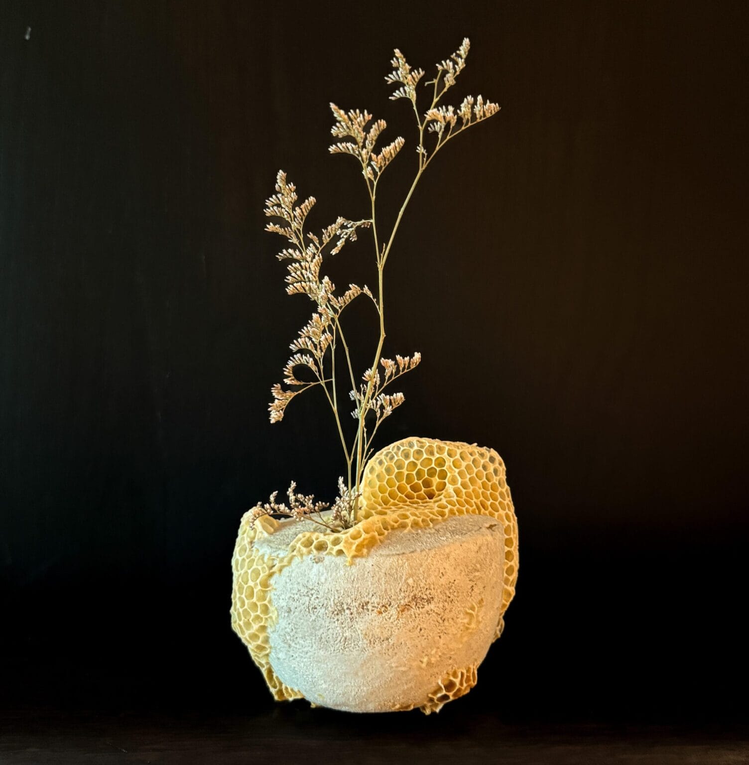 Ava Roth Collaborates with Insects to Create 'Kintsu-Bee' Ceramic ...