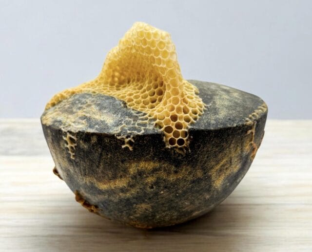 Ava Roth Collaborates with Insects to Create 'Kintsu-Bee' Ceramic ...