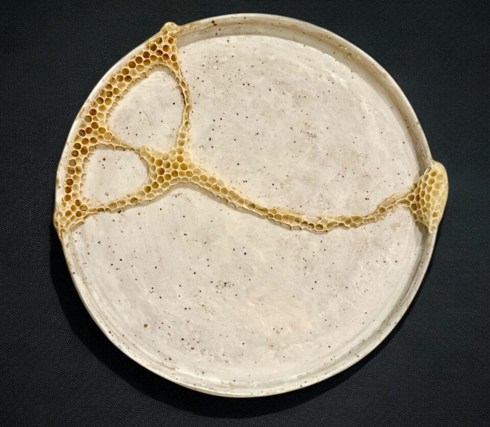Ava Roth Collaborates with Bugs to Create 'Kintsu-Bee' Ceramic Vessels ...