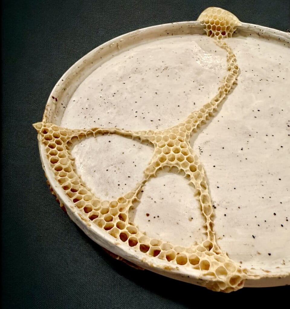 Ava Roth Collaborates with Insects to Create 'Kintsu-Bee' Ceramic ...