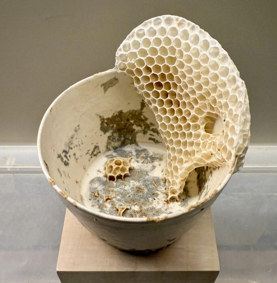 Ava Roth Collaborates with Bugs to Create 'Kintsu-Bee' Ceramic Vessels ...