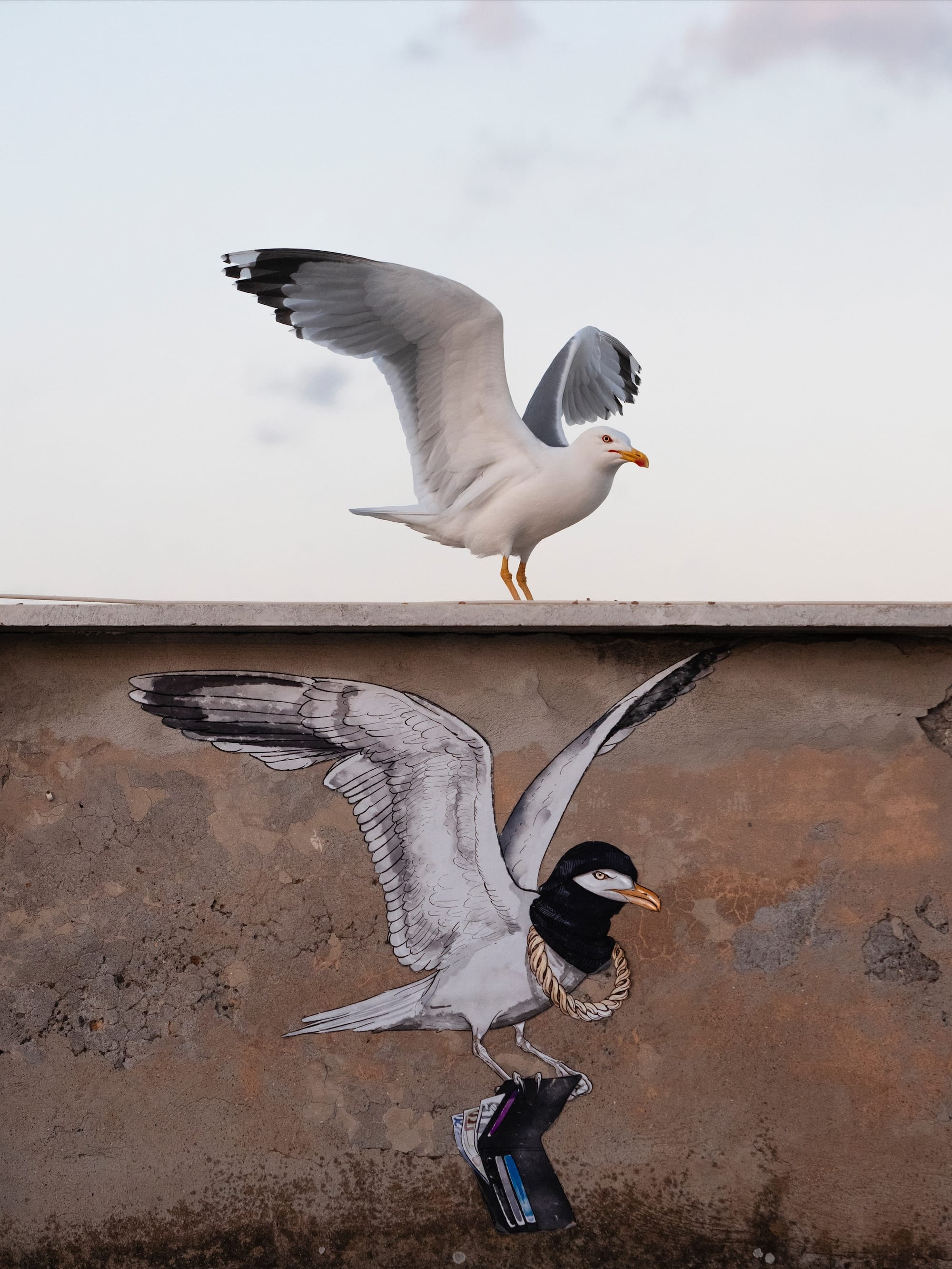 a seagull spreads its wings above a wall with a small painting of a seagull flying, carrying a stolen wallet