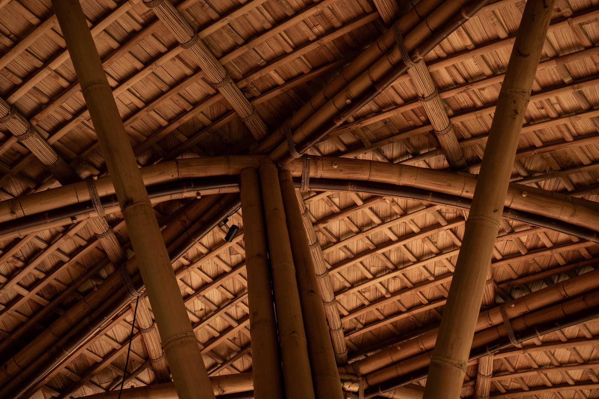 an interior view of wooden architecture in an undulating, organic form