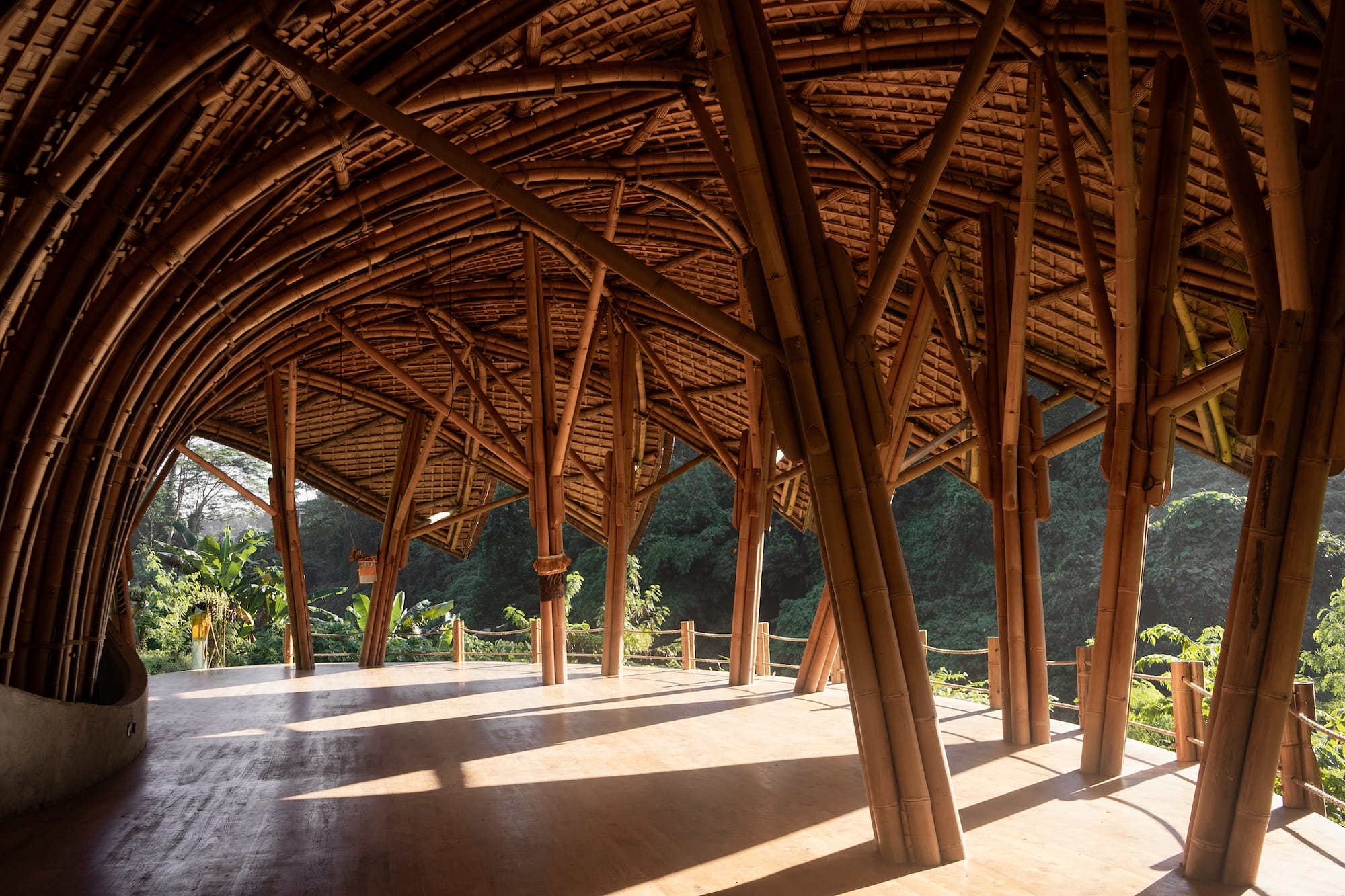 an interior view of wooden architecture in an undulating, organic form