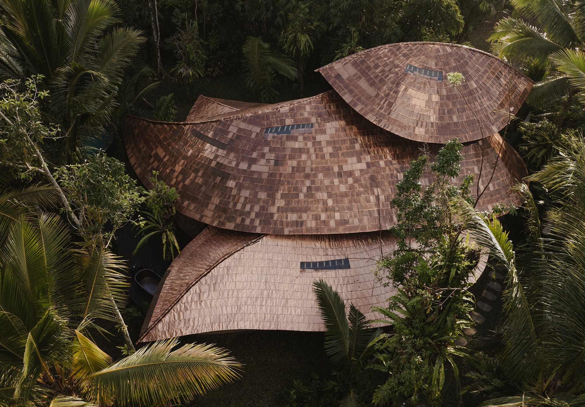 an aerial external view of a yoga pavilion with wooden architecture inspired by overlapping leaves