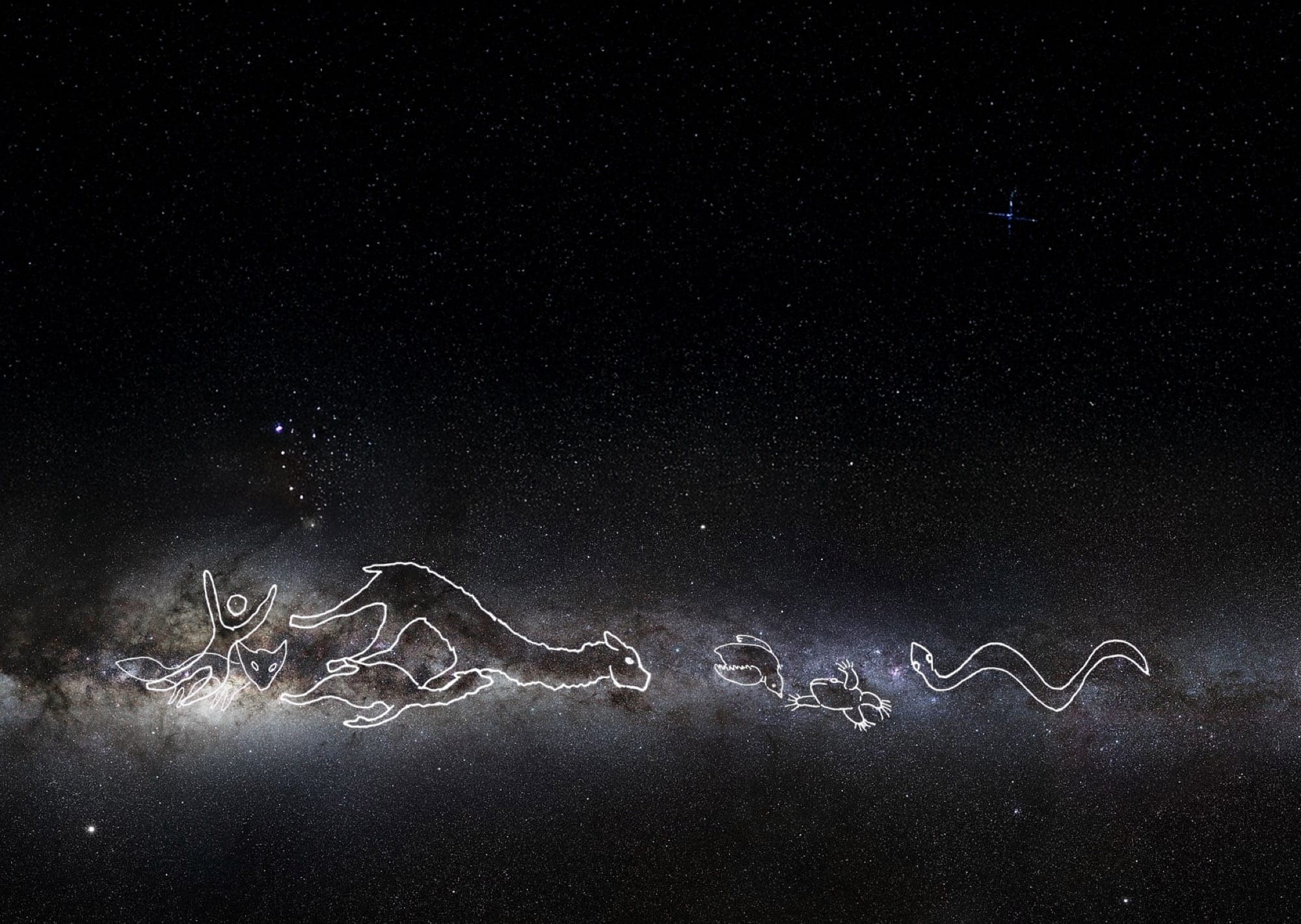 illuminated drawings of animals in the dark