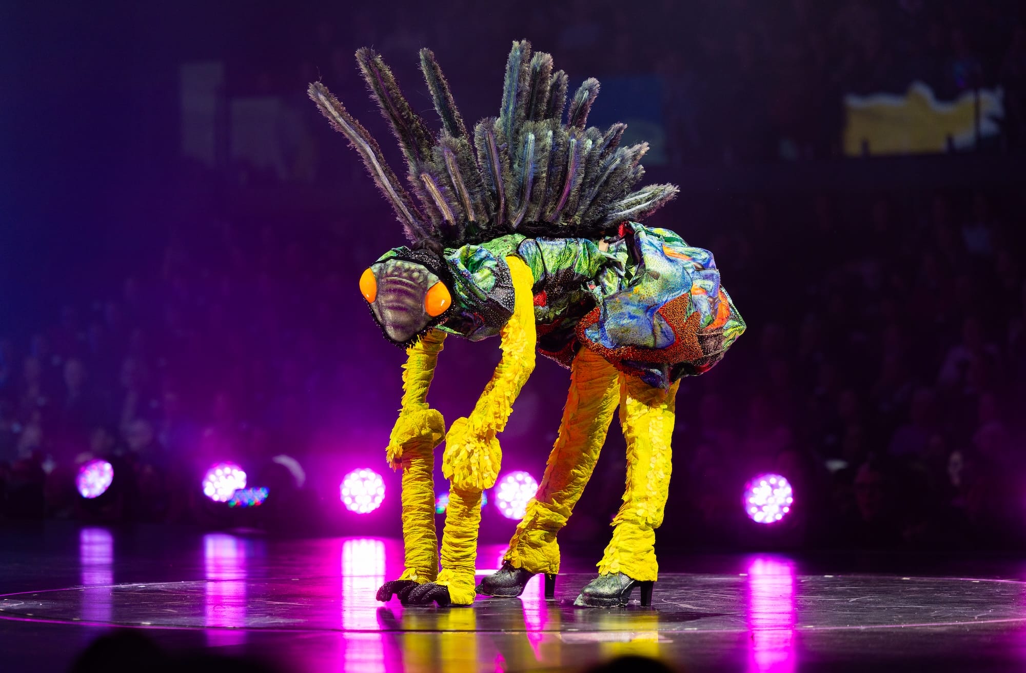 an elaborate garment being performed on stage in the form of an insect