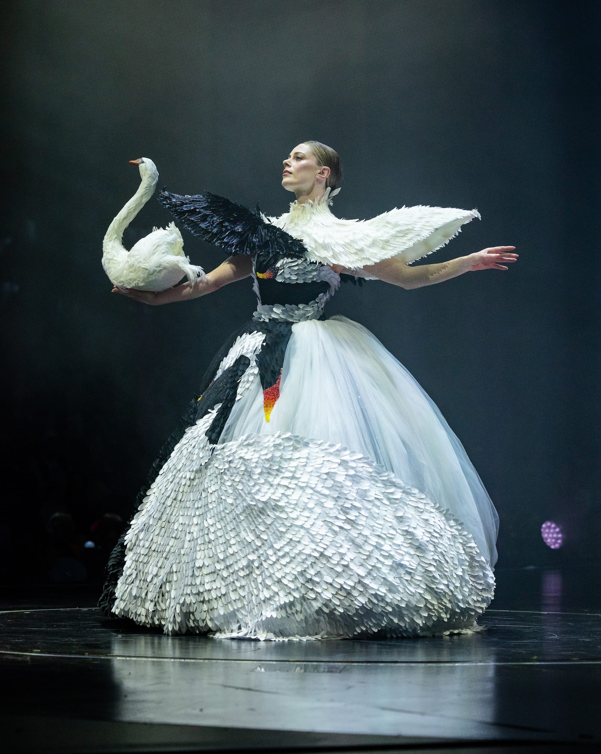 an elaborate handmade gown with details of black and white swans