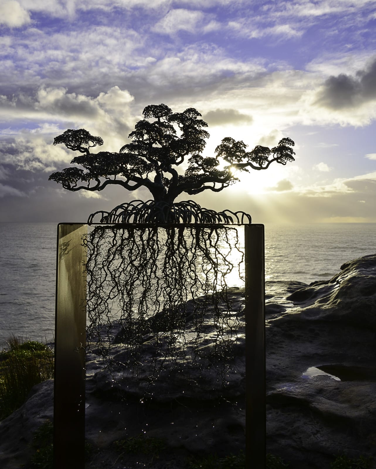 a sculpture of a bonsai on a table at Bondi Beach, NSW, Australia