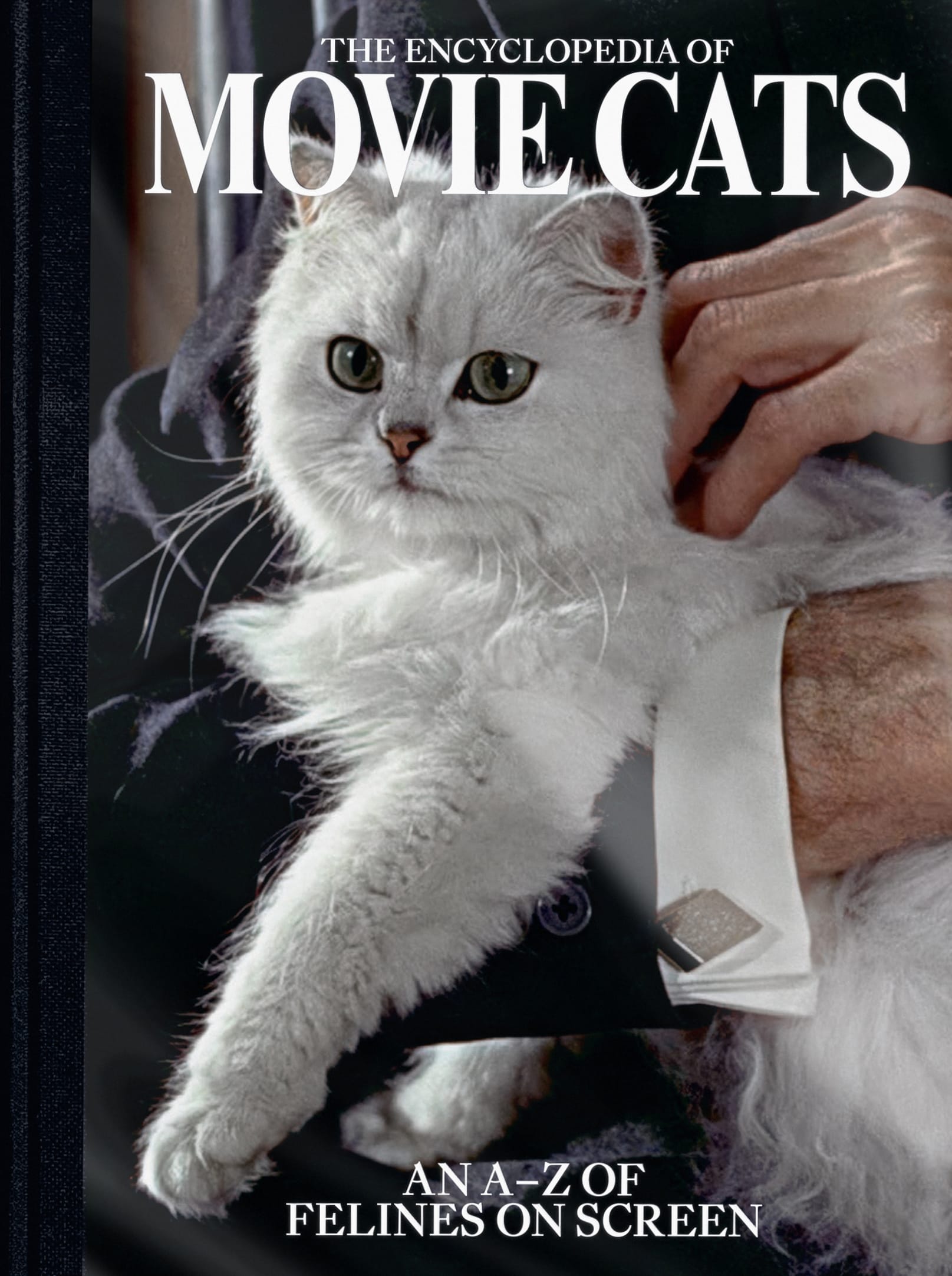 the cover of movie cats