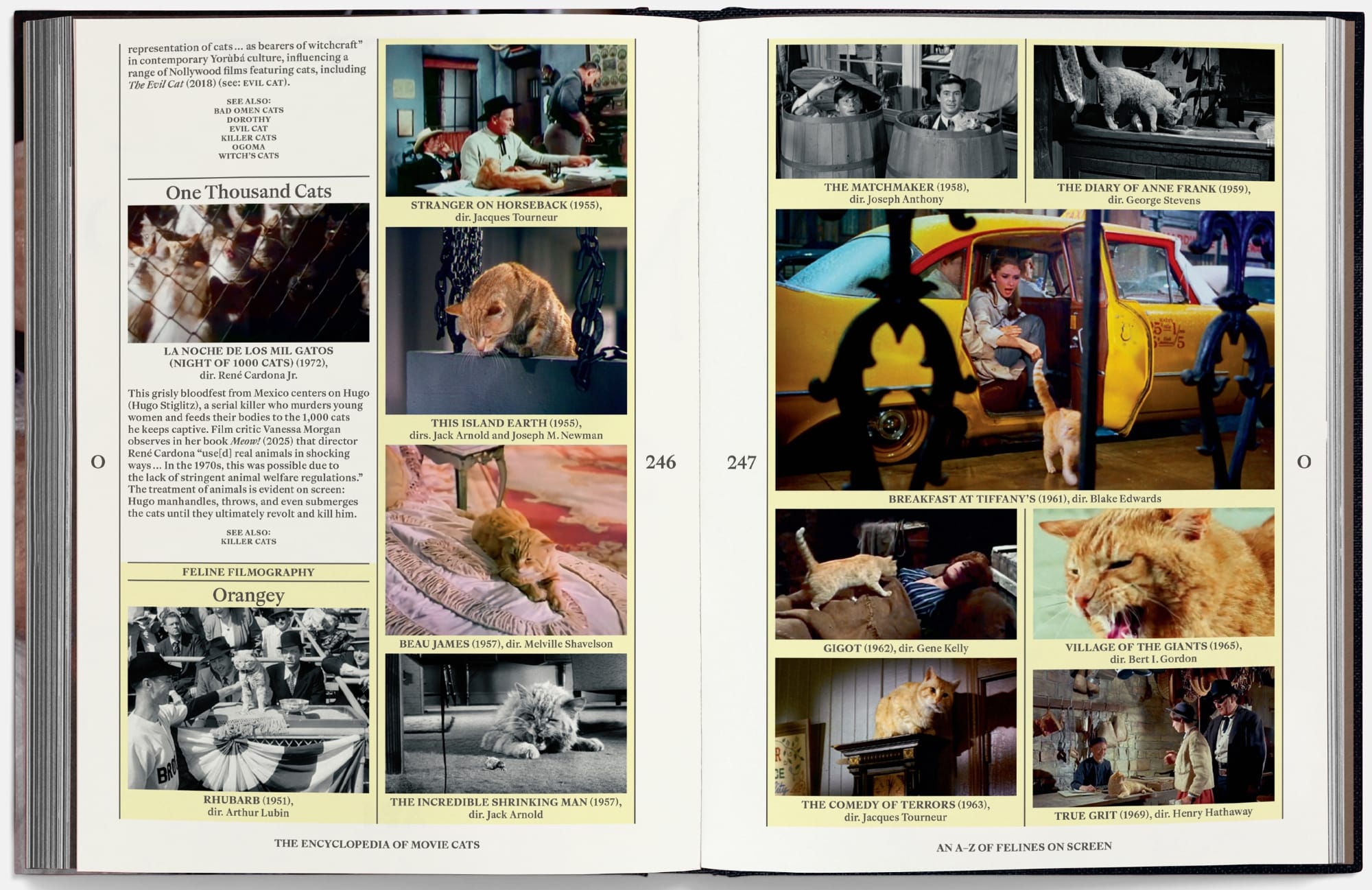 an open book spread of stills from films with cats