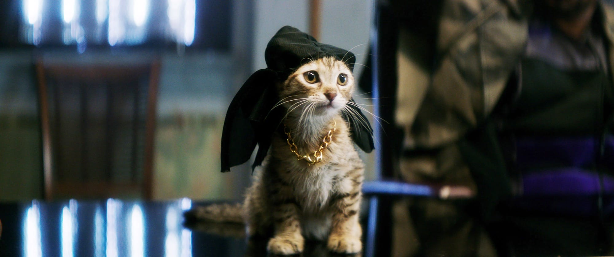 a film still of a cat in a cape